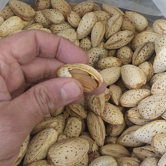 بادام پوست نازک ممتاز خشکبار ال سون مراغه 1000 گرم