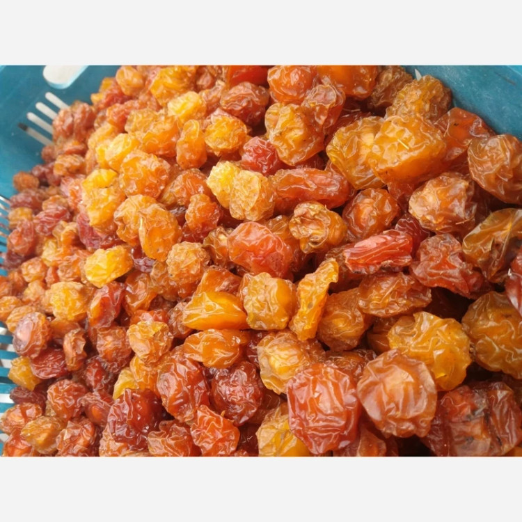 آلوچه زرد شیرین خشکبار ال سون مراغه 1000 گرم