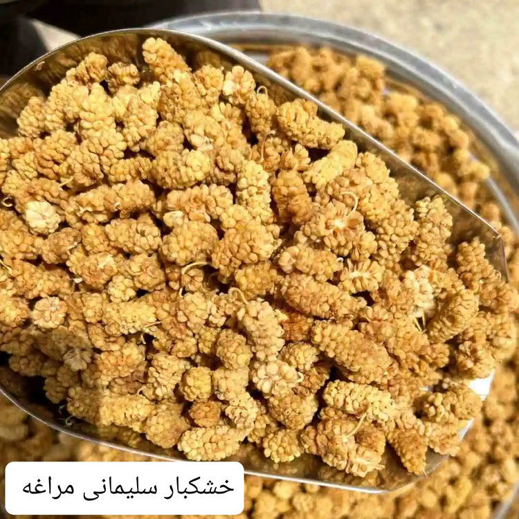 توت خشک امسالی خشکبار ال سون مراغه 1000 گرم