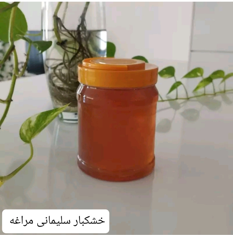عسل شهد اویشن گون دامنه های سهند مراغه خشکبار ال سون مراغه 1000 گرم