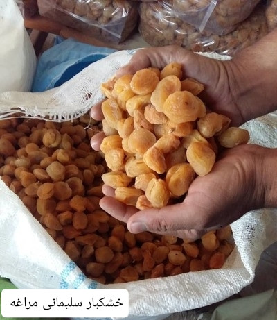 آلوی خشک خورشتی درجه یک صادراتی خشکبار ال سون مراغه 1000 گرم