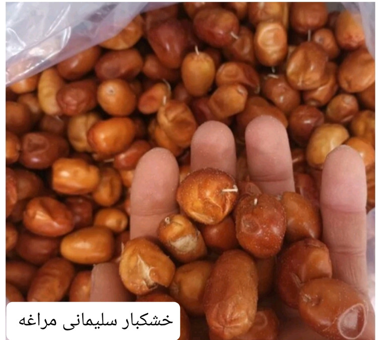 سنجد شیرین امسالی صادراتی خشکبار ال سون مراغه ۵۰۰ گرم