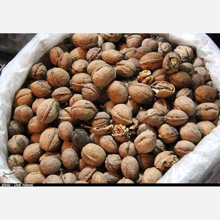 گردوی پوست درجه یک خشکبار ال سون مراغه ۵۰۰ گرم