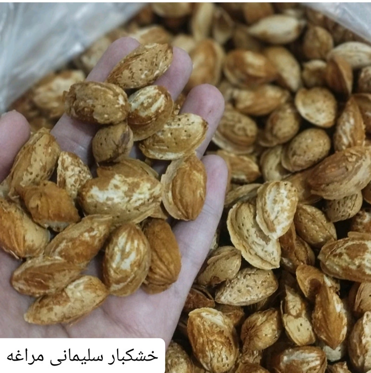 بادام کاغذی ممتاز خشکبار ال سون مراغه ۵۰۰ گرم